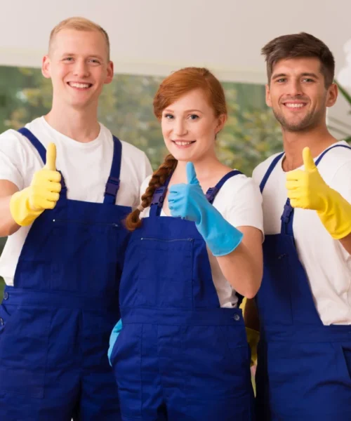 cleaner-1 cleaner-1