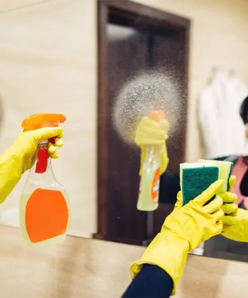 cleaner-2 cleaner-2