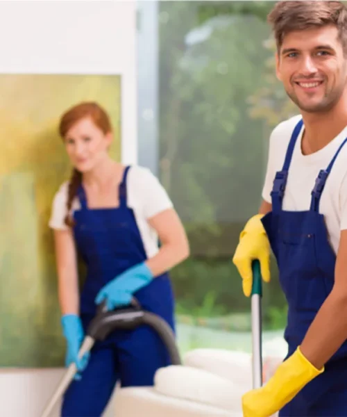 cleaner-3 cleaner-3